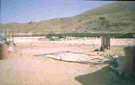 SECADO NATURAL DE QUINUA EN PUNO