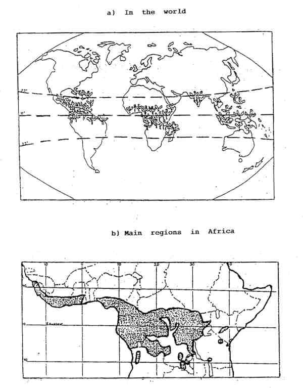 REGIONS PRODUCING BANANAS PLANTAIN IN THE WORLD AND IN AFRICA (34KB)