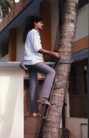 PALM CLIMBING DEVICE IN INDIA