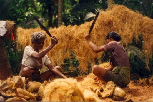 MANUAL EXTRACTION OF COCO FIBRE BY BEATING WITH WOODEN MALLETSK  